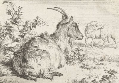 Liggende ged, 1670 af Adriaen van de Velde