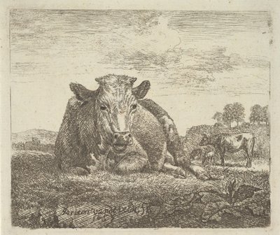 Liggende ko, fra forskellige dyr, 1657. af Adriaen van de Velde