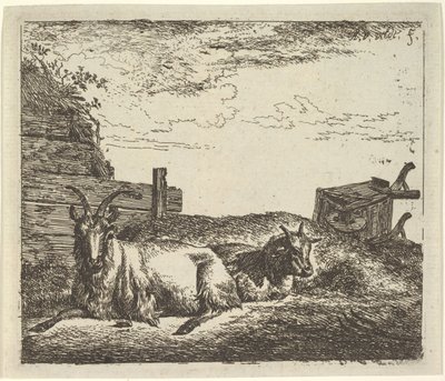 Liggende geder, fra forskellige dyr. af Adriaen van de Velde