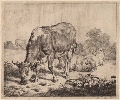 Plettet Tyr og Tre Får af Adriaen van de Velde