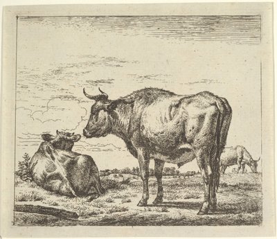 Stående Tyr, fra Forskellige Dyr. af Adriaen van de Velde