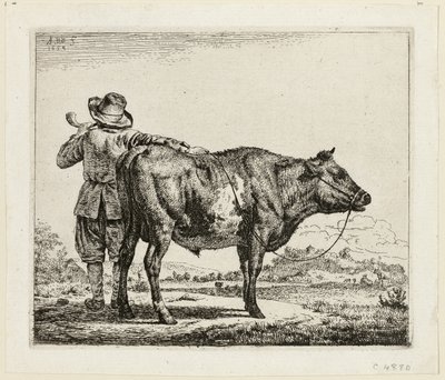 Kohyrden og Tyren af Adriaen van de Velde