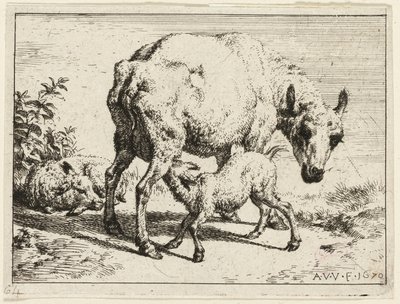 Lammet af Adriaen van de Velde