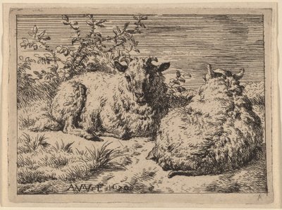 To liggende får af Adriaen van de Velde