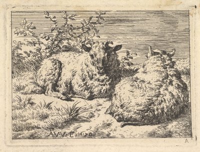 To liggende får, 1670. af Adriaen van de Velde