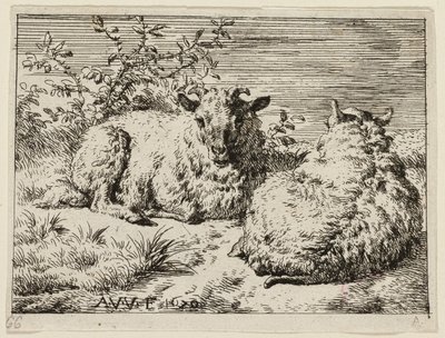 To får af Adriaen van de Velde