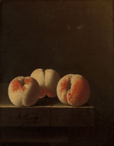 Tre ferskner på en stensokkel, 1705 af Adrian Coorte