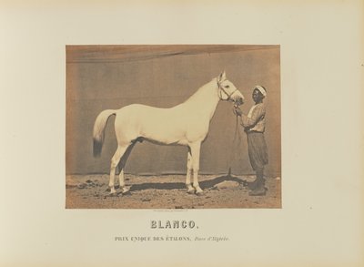 Blanco af Adrien Alban Tournachon