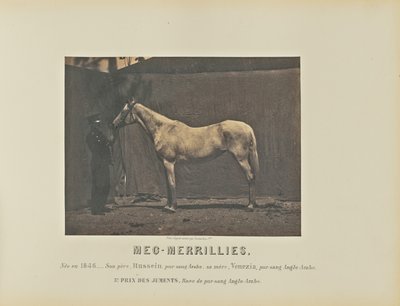 Meg-Merrillies af Adrien Alban Tournachon