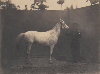 Pascaline, ca. 1855-60. af Adrien Alban Tournachon