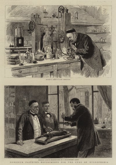 Monsieur Pasteurs eksperimenter til helbredelse af hydrofobi af Adrien Emmanuel Marie