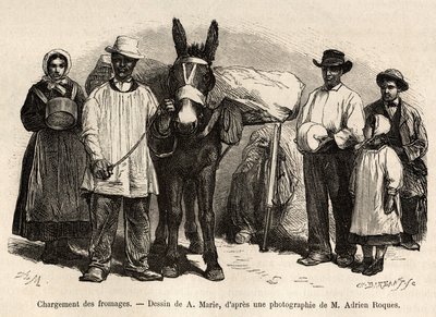 Indlæsningen af oste på bagsiden af en muldyr, mod kældre i Roquefort, gravering efter en tegning af A.Marie, der illustrerer en rejse til Roquefort og dens omgivelser, af Adrien Roques og Jules Charton, i 1874, udgivet i “” Le Tour du Monde ”” ” af Adrien Emmanuel Marie
