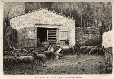 Fårehandelen, hele gårdens personale var beskæftiget med denne opgave, dreng, tjener, under hyrdens opsyn, gravering efter tegning af A.Marie, illustrerende en rejse til Roquefort og omegn, af Adrien Roques og Jules Charton, af Adrien Emmanuel Marie