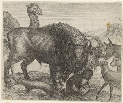 Fabel om bisonen og de andre dyr af Egidius  Sadeler (II)