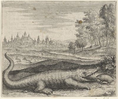 Fabel om krokodille og mangust af Egidius  Sadeler (II)