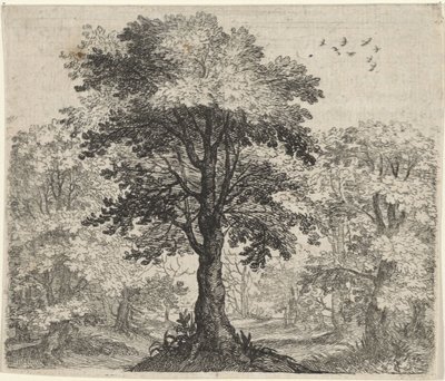 Fabel om Elm og Eg af Egidius  Sadeler (II)