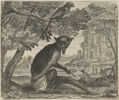 Fabel om papegøjen og aben af Egidius  Sadeler (II)