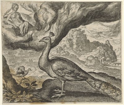 Fabel om påfuglen og nattergalen af Egidius  Sadeler (II)