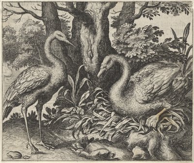 Fabel om Svanen og Storken af Egidius  Sadeler (II)