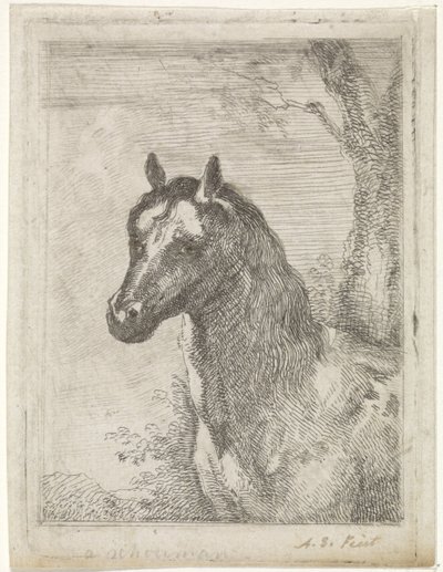 hestehoved af Aert Schouman (signed by artist)