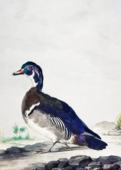 En and af Aert Schouman