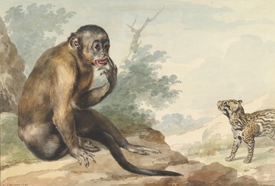 En abe, der sidder på en klippe og ser på en sivet, 1764. af Aert Schouman