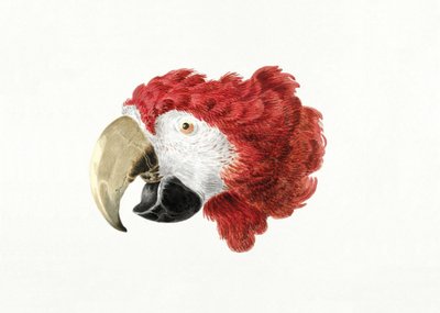 Ara af Aert Schouman