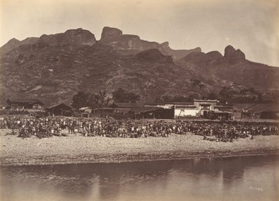 Andemarked, ca. 1869. af Afong Lai