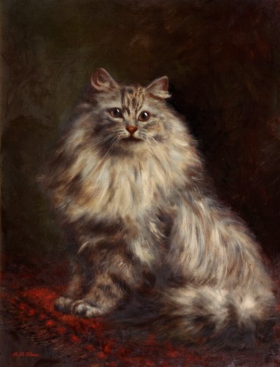 Persian Cat, c.1908-20dani af Agnes Augusta Talboys