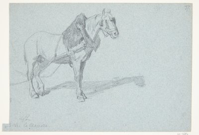 En hest af Agnes Lunn