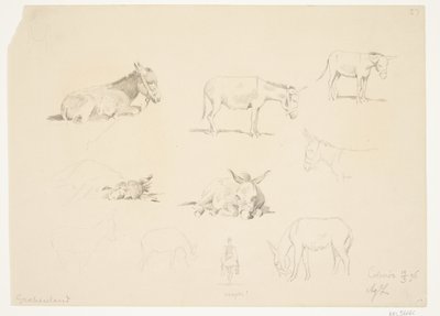 Studieblad med dyr. af Agnes Lunn