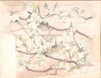 Æbleblomster af Agnes Slott Møller