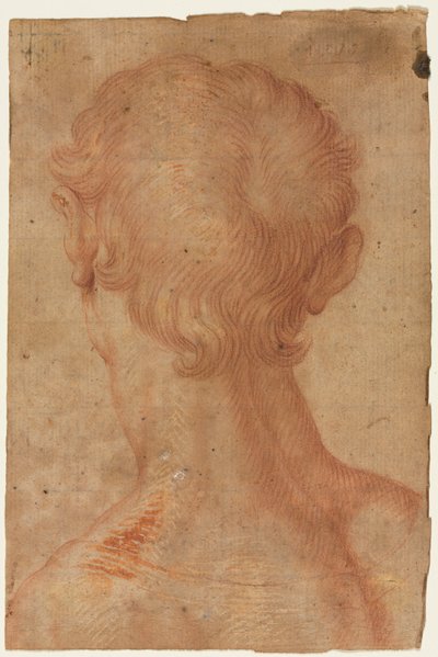  af Agnolo Bronzino