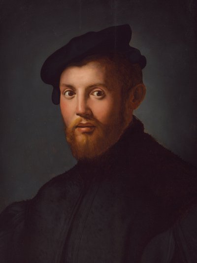 Portræt af en ung mand med en bog af Agnolo Bronzino