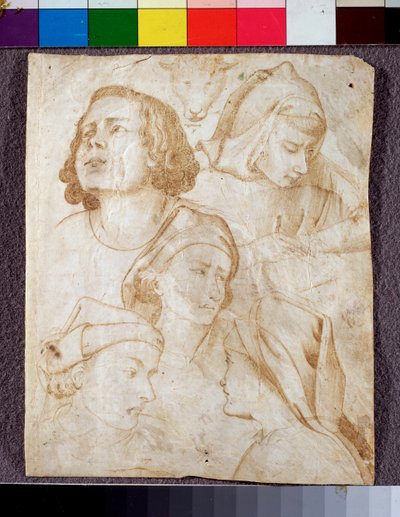 Hoveder (tegning af Agnolo Gaddi