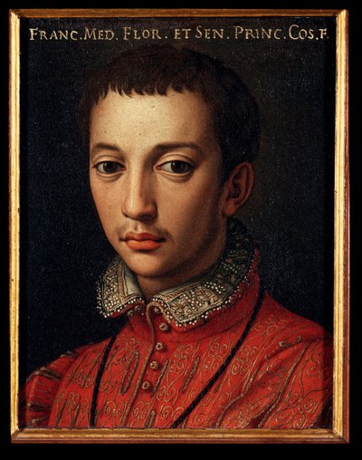 Portræt af Francois I af Medici (Francesco I de Medici) (1541-1587) Ung dreng Maleri af Allori Angelo di Cosimo dit Bronzino (1503-1572) Søn fra det 16. århundrede 15x12 cm Palace Medici-Riccardi (Medici Riccardi) Firenze af Agnolo Bronzino