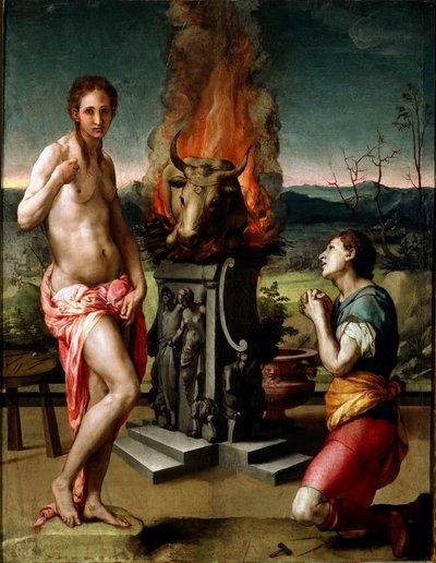 Pygmalion og Galatee (eller Galathee) Maleri af Agnolo di Cosimo di Mariano dit Il Bronzino (1502-1572) 1529-1530 Søn. 81x63 cm Firenze, Uffizi-galleriet (Musee des Uffizi) af Agnolo Bronzino
