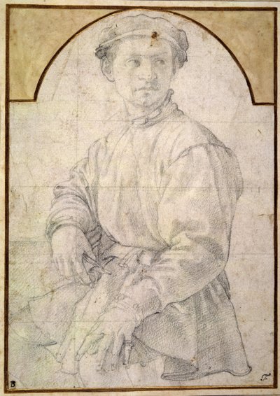 Undersøg for en ung mand med en lut af Agnolo Bronzino