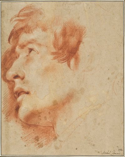 Hoved af en ung mand, der ser op af Agostino Carracci