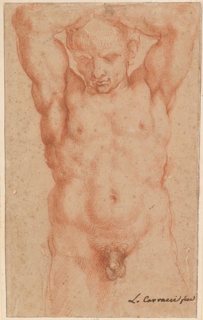 Mand nøgen af Agostino Carracci