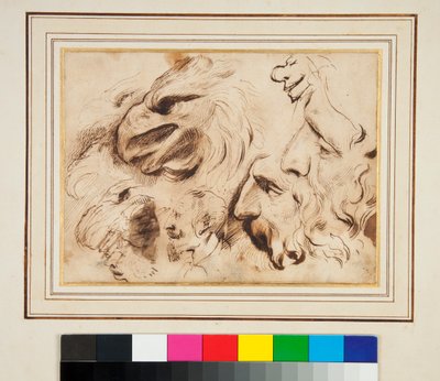 Ark med studier med hovedet af en ørn og mænds profiler og karikaturer (pen og brunt blæk og lidt brun vask) af Agostino Carracci