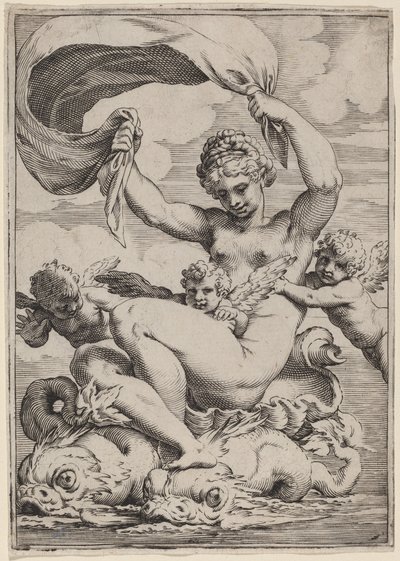 Venus eller Galatea understøttet af delfiner af Agostino Carracci