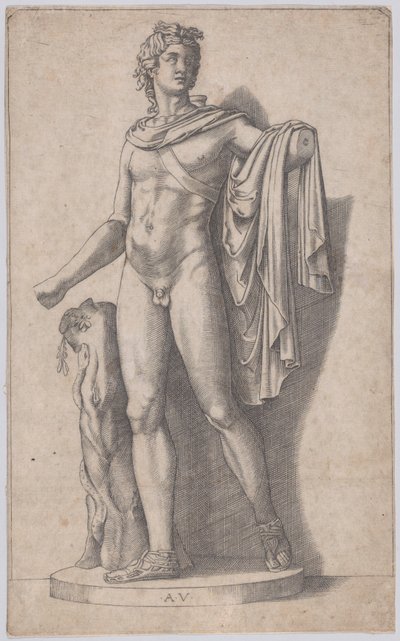 Apollo, ca. 1514-36. af Agostino Veneziano