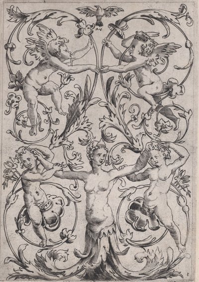 Ornamental panel, ca. 1514-36. af Agostino Veneziano