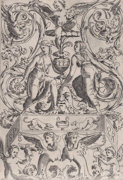 Ornamental panel, ca. 1514-36. af Agostino Veneziano