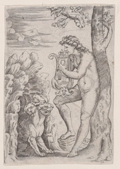 Orpheus, dateret 1528. af Agostino Veneziano