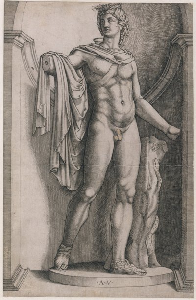 Mirror of Roman Magnificence: Apollo Belvedere, ca. 1514-36, ca. 1514-36. af Agostino Veneziano