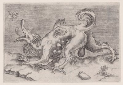 Dragen og bien, ca. 1514-36. af Agostino Veneziano