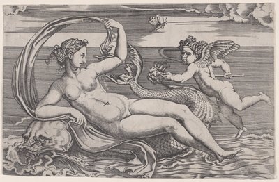 Venus tilbagelænet på en delfin, ca. 1516. af Agostino Veneziano
