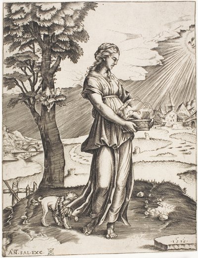 Den cumæiske Sybil af Agostino dei Musi